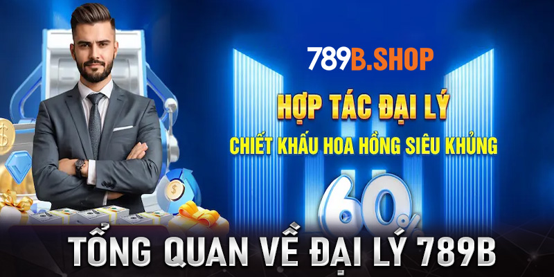 Tổng quan chung về chính sách đại lý 789B 