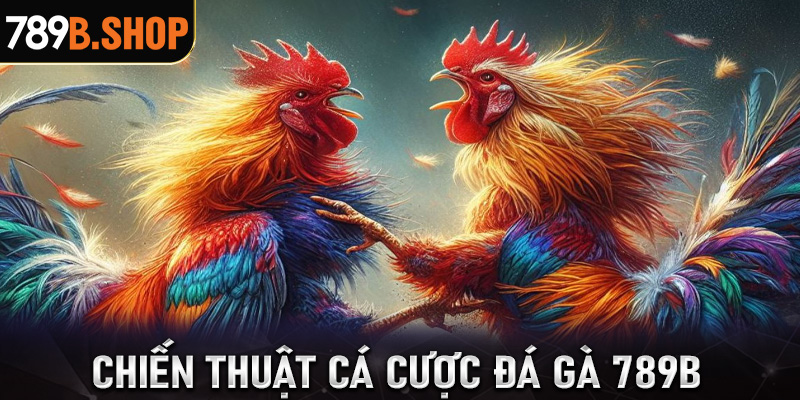 Chiến thuật cá cược đá gà 789B vô cùng hiệu quả đến từ các lão làng lâu năm